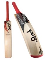 cricket bat